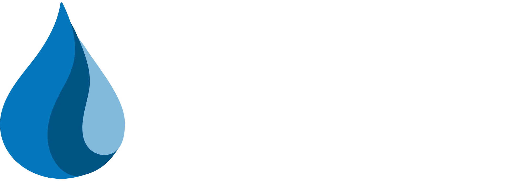 TDSdrains_White_Trans TDSdrains_White_Trans